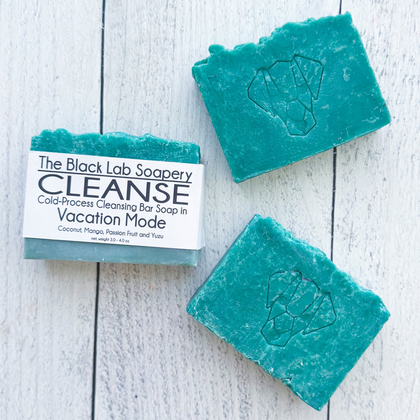 Vacation Mode Bar Soap