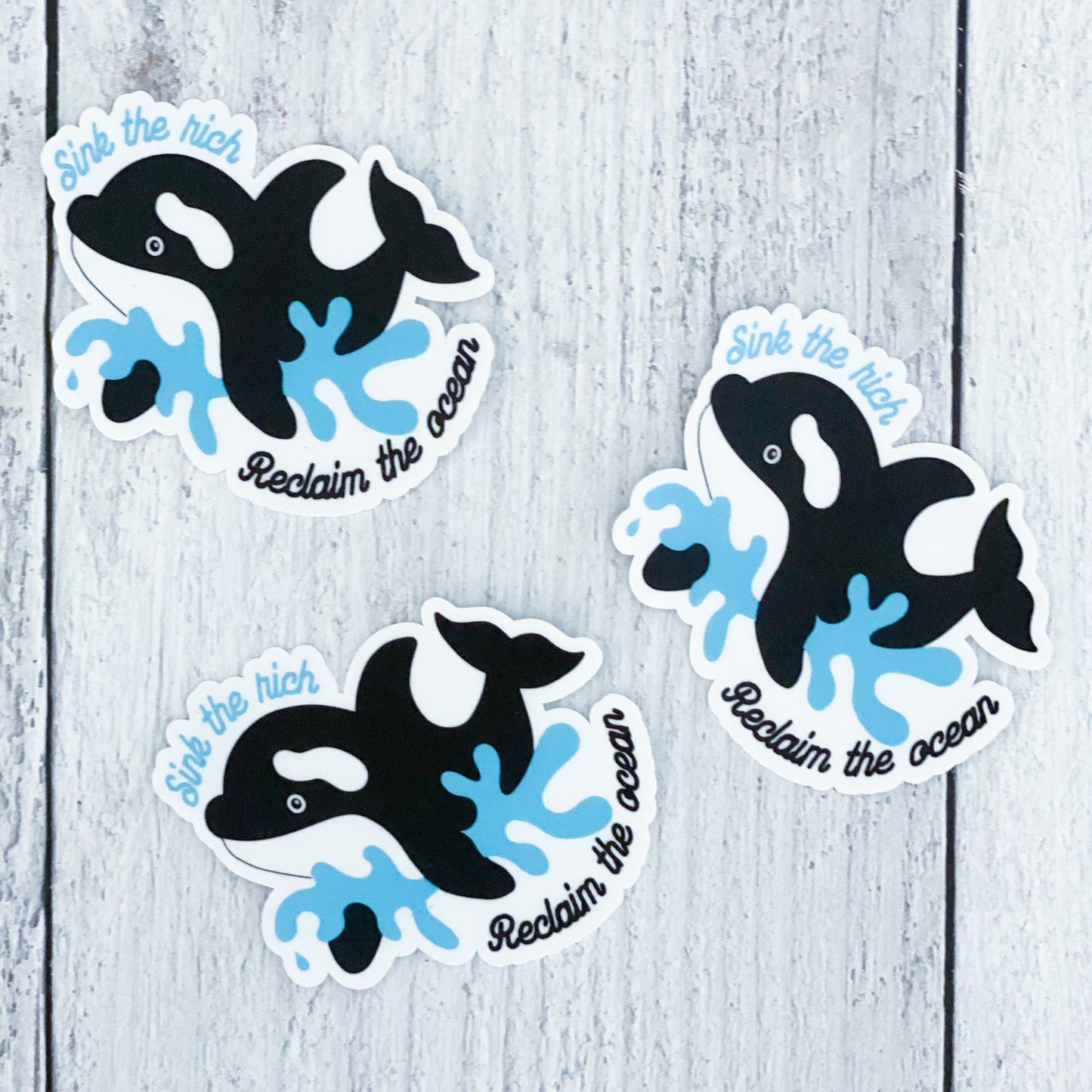 Sink The Rich Sticker