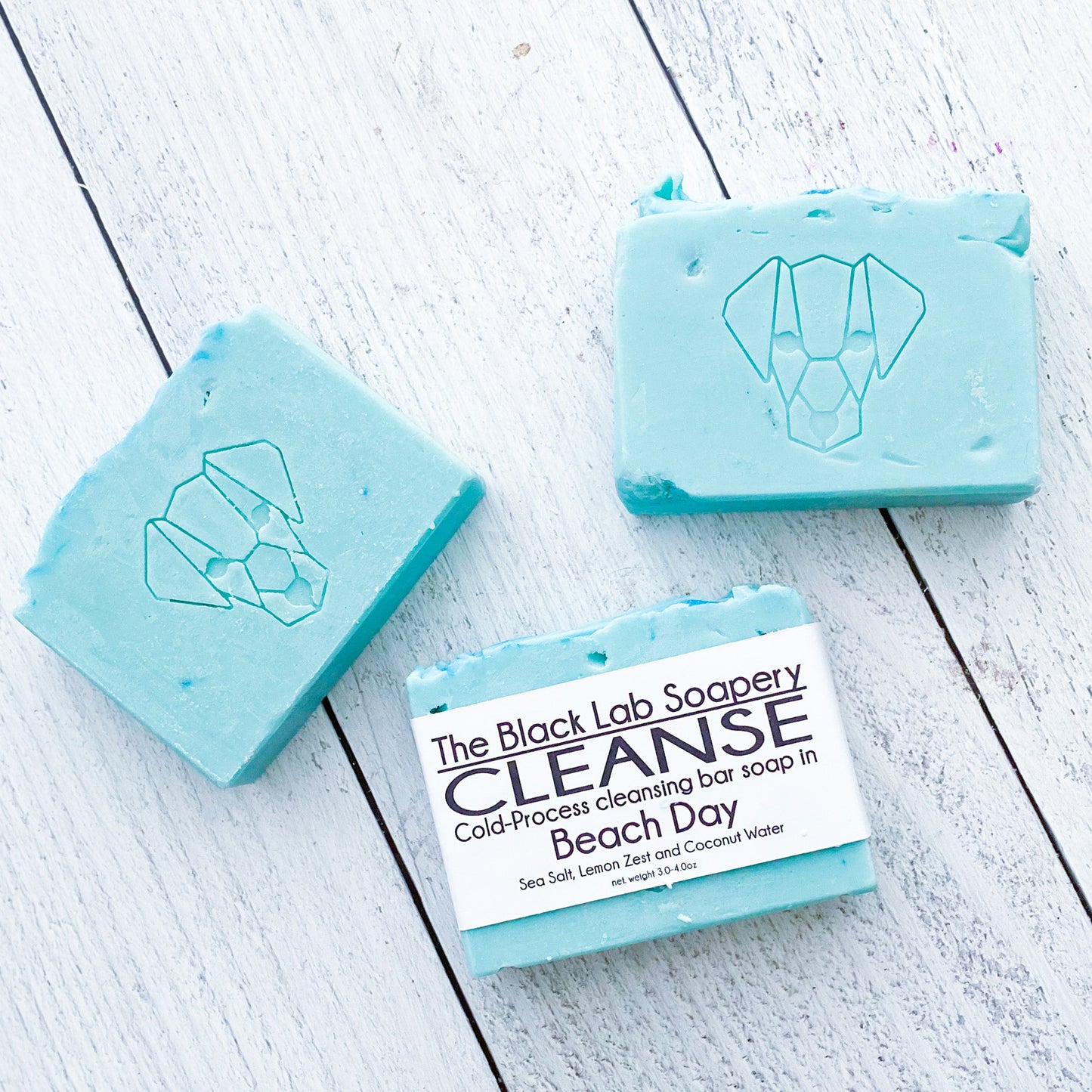 Beach Day Bar Soap